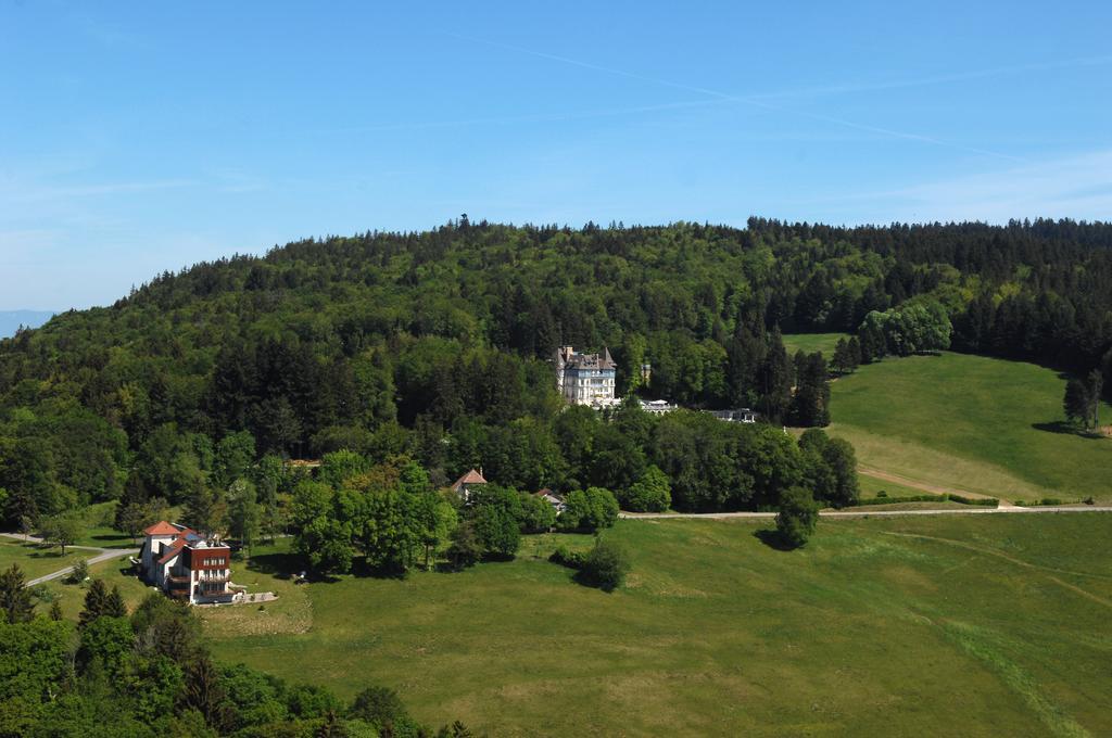 Chateau Des Avenieres Cruseilles Dış mekan fotoğraf